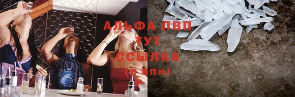 ГАЛЛЮЦИНОГЕННЫЕ ГРИБЫ Иннополис