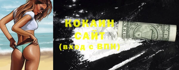 кокс Инта