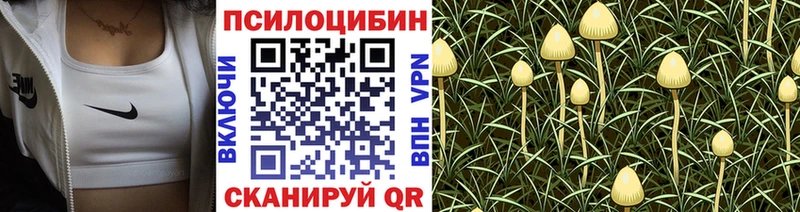 Галлюциногенные грибы GOLDEN TEACHER  Карталы 