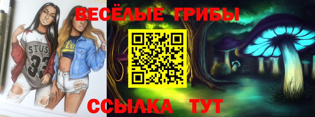 Псилоцибиновые грибы Psilocybine cubensis  Псилоцибиновые грибы Cubensis  Вход с VPN  Карталы 