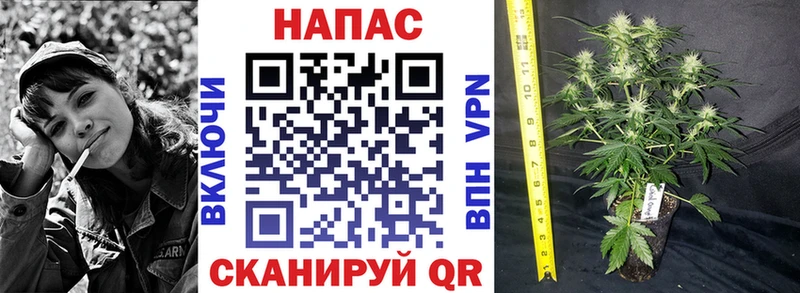 blacksprut онион  где купить наркоту  Карталы  Марихуана план 